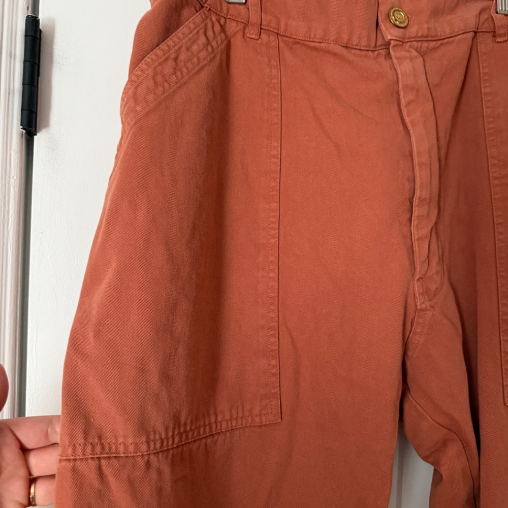 Big Bud Press Work Pants in terracotta - Picture 5 of 6